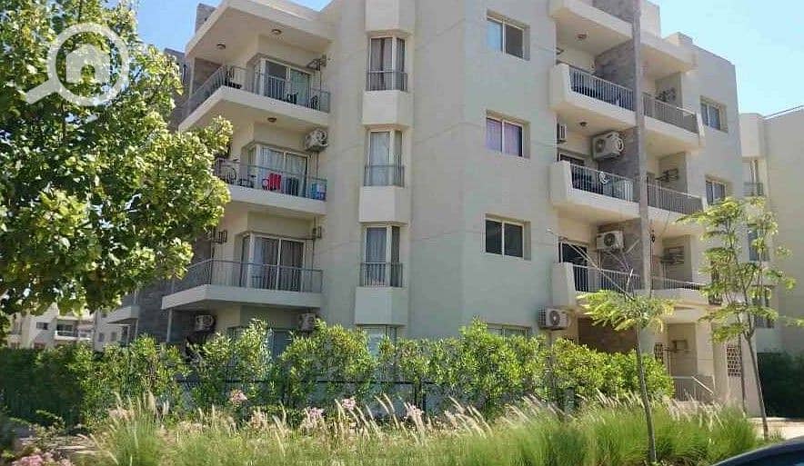 4 WhatsApp Image 2025-10-07 at 4.45. 49 PM (3). jpeg