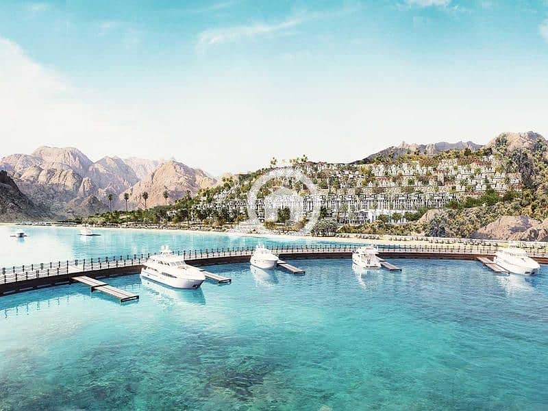 10 vkmdKa69budvXAgAkusG. jpg