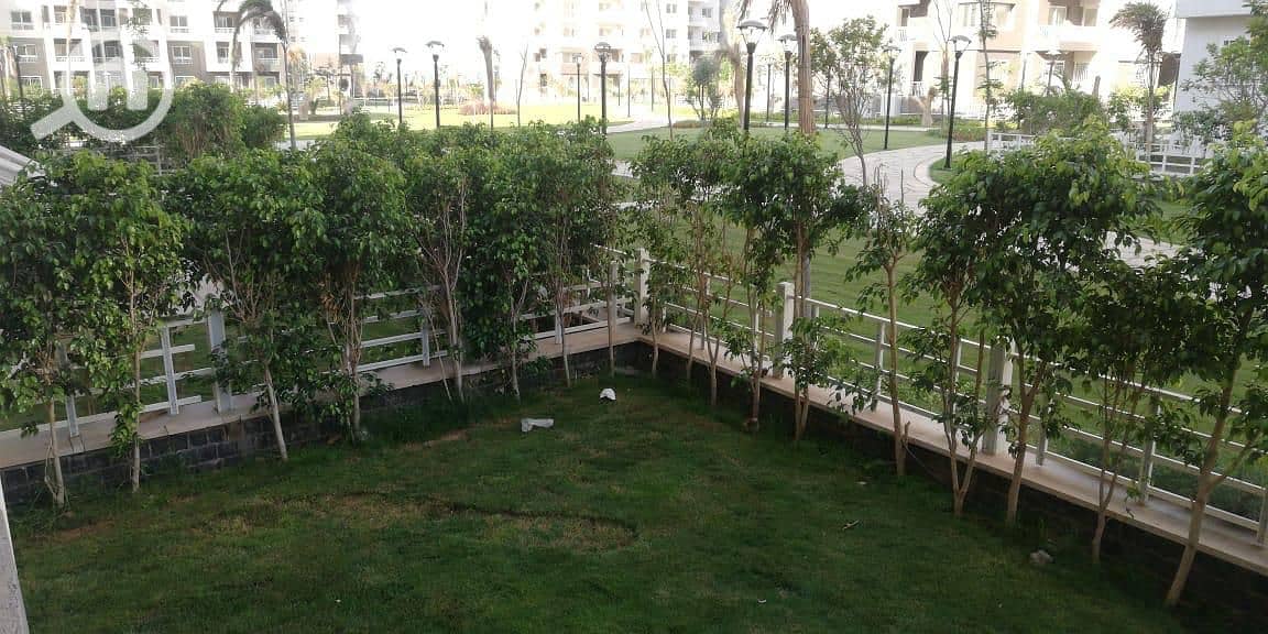 3 IMG-20251228-WA0006. jpg