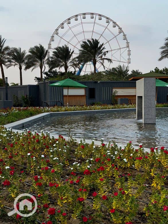 17 Screenshot_26. png