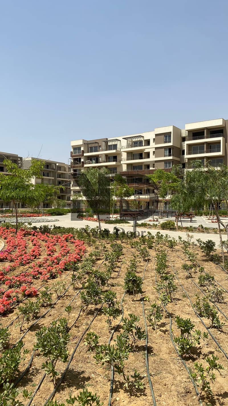 13 598560875_122263013630021314_5107478671192922285_n. jpg