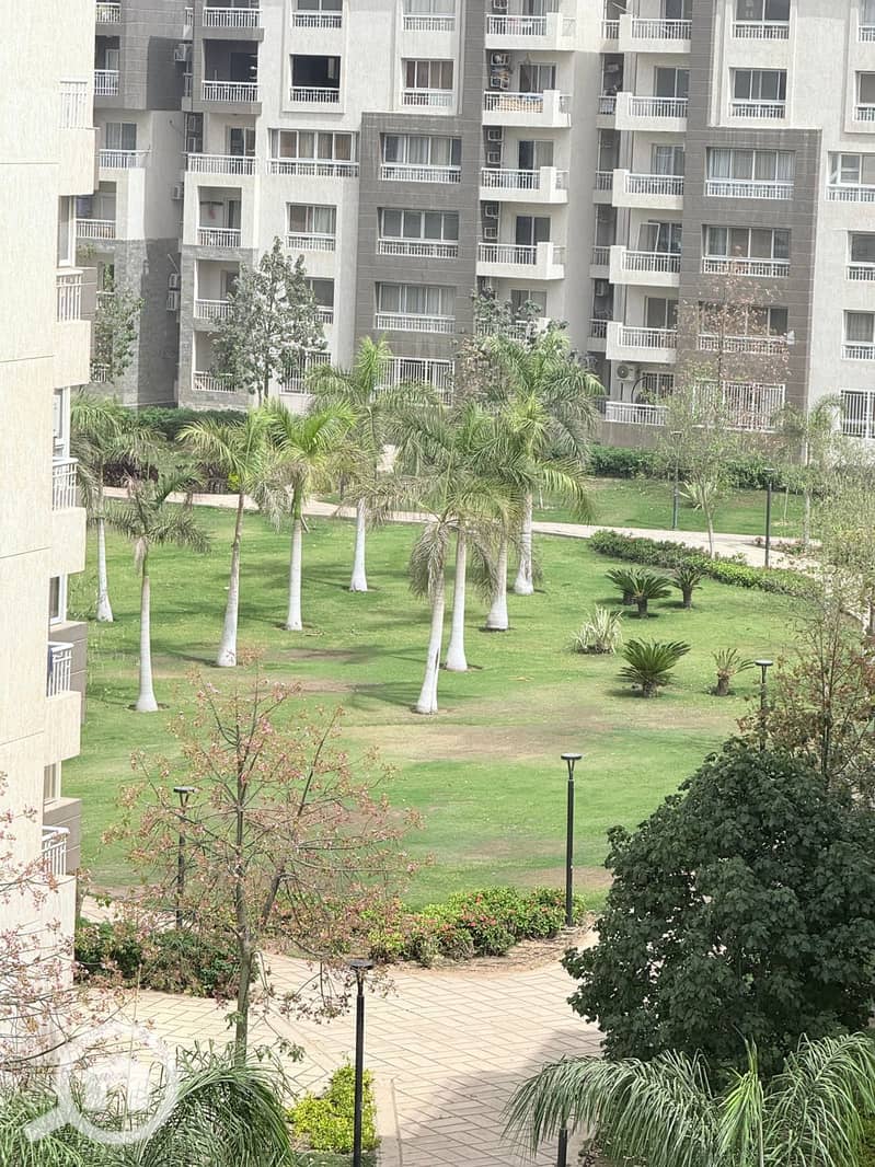 10 c3477d4d-d0da-4593-a10e-8cd30ddc8e2c. jpg