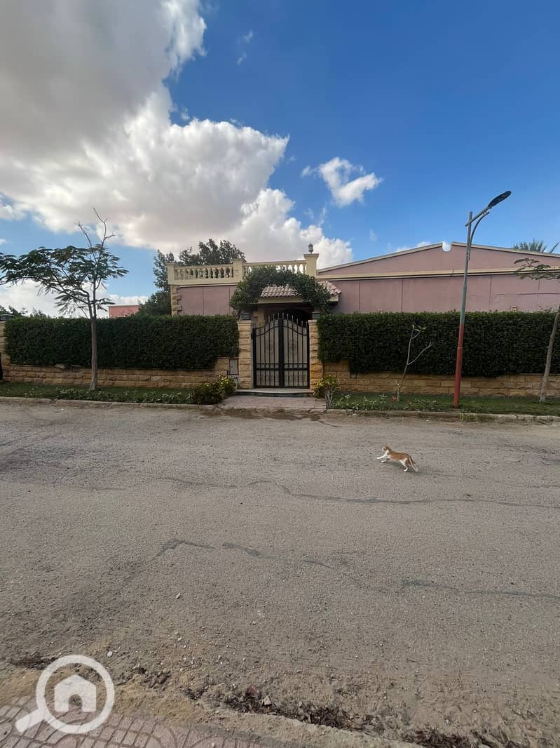 6 WhatsApp Image 2025-12-25 at 11.28. 41 PM (1). jpeg