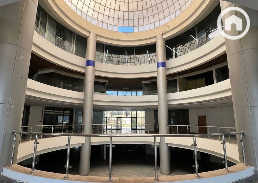 8 Generated Image September 23, 2025 - 2_06PM. png