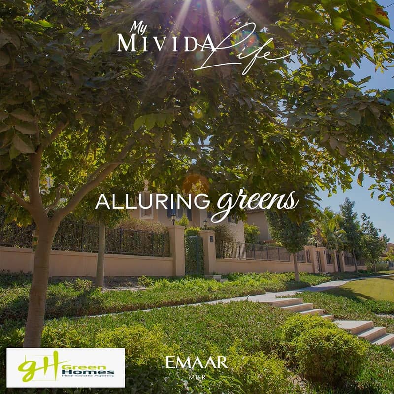 3 WhatsApp Image 2024-08-18 at 2.27. 51 PM (2). jpeg