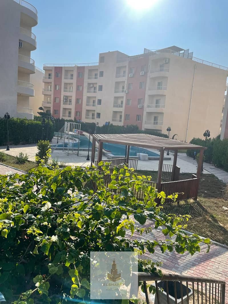 20 WhatsApp Image 2025-12-27 at 1.20. 16 PM (4). jpeg