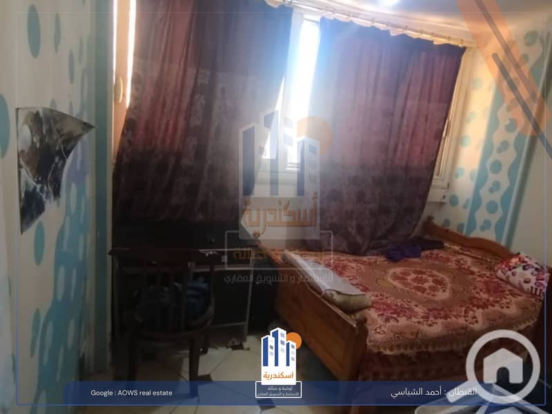 6 603805648_1301389568687360_1126640498043127891_n. jpg