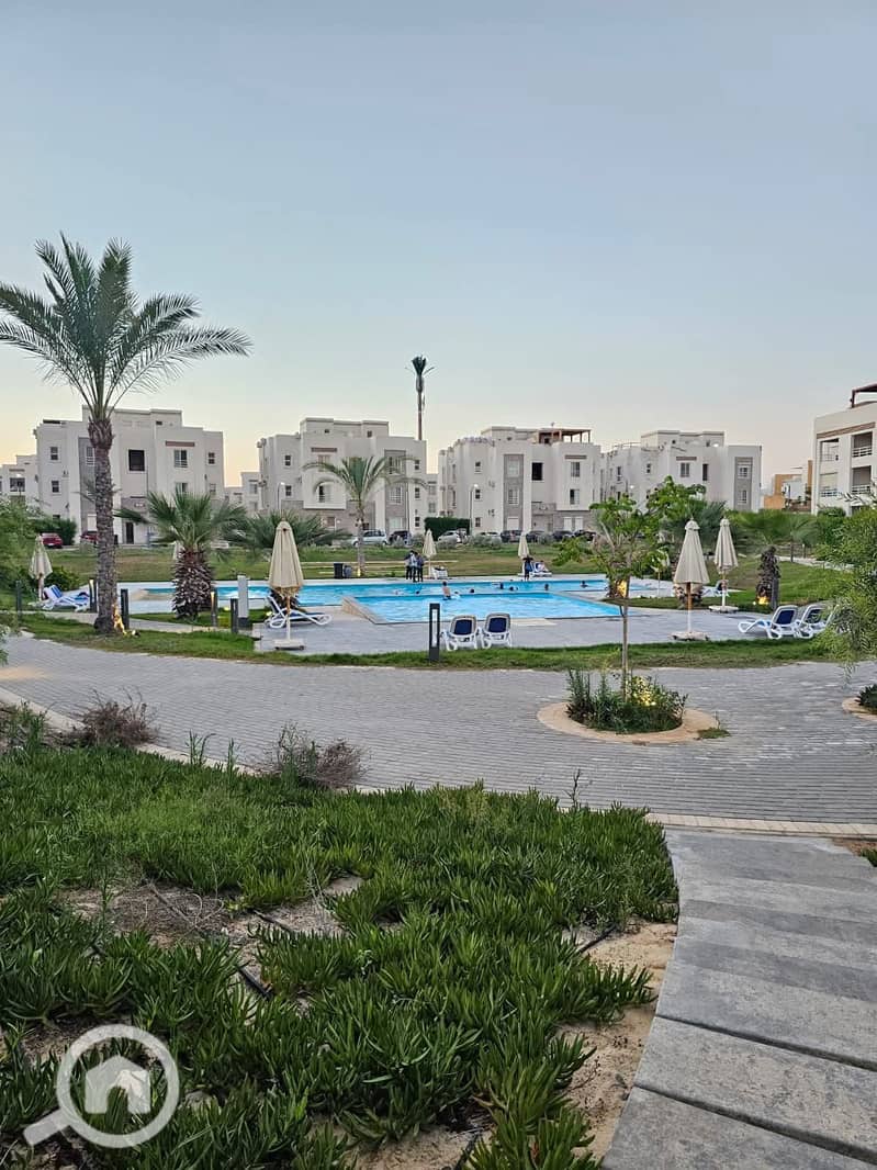 4 WhatsApp Image 2025-12-28 at 4.59. 38 PM. jpeg