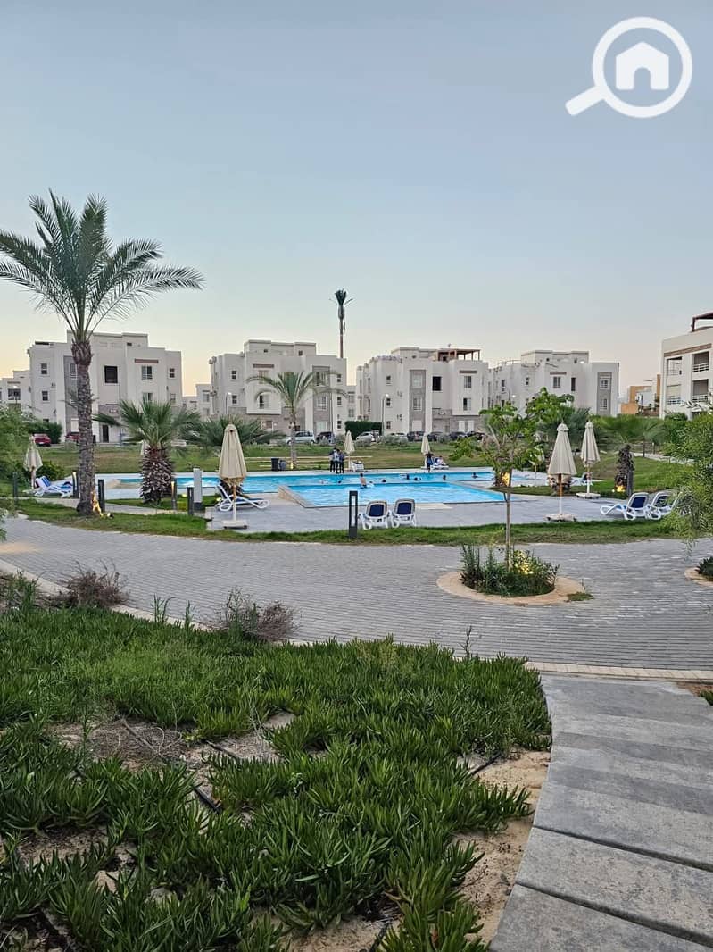 6 WhatsApp Image 2025-12-28 at 4.59. 38 PM. jpeg