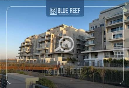 3 Bedroom Apartment for Rent in New Cairo, Cairo - WhatsApp Image 2025-12-14 at 4.16. 35 PM. jpeg