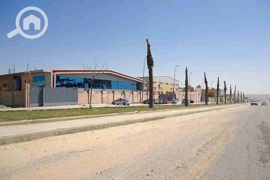 3 57012442663d9. jpg