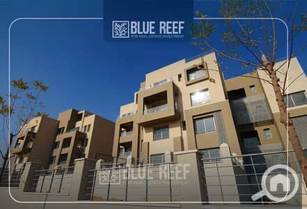 استوديو  للايجار في القاهرة الجديدة، القاهرة - Bluereef  - Templete. psdsdfcv (1)-Recovered-Recovered-Recovered-Recovered-Recovered-Recovered-Recovered-Recovered-Recovered-لقلقRecovered-Recovered-Recovered. jpg
