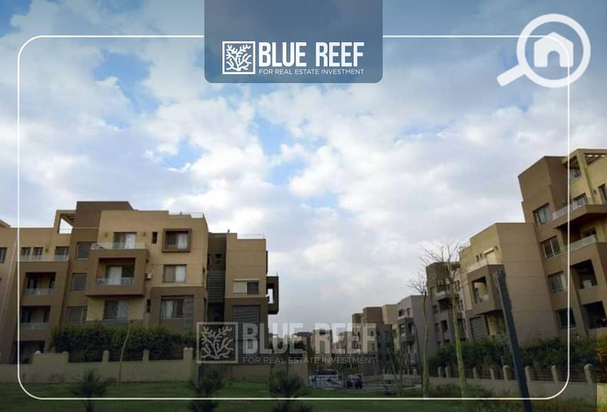 8 Bluereef  - Templete. psdsdfcv (1)-Recovered-Recovered-Recovered-Recovered-Recovered-Recovered-Recovered-Recovered-Recovered-لللRecovered-Recovered-Recovered-Recovered. jpg