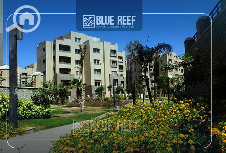 9 Bluereef  - Templete. psdsdfcv (1)-Recovered-Recovered-Recovered-Recovered-Recovered-Recovered-Recovered-Recovered-نتاRecovered-Recovered-Recovered-Recovered. jpg