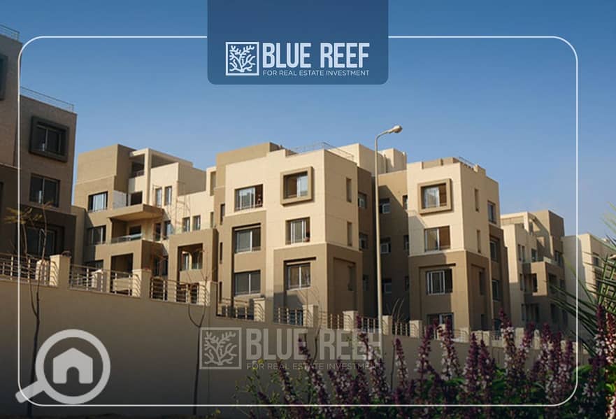 10 فغقفغقغ. jpg