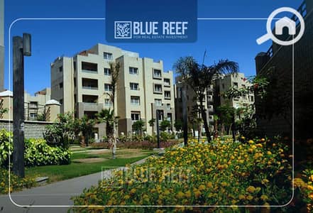 استوديو  للايجار في القاهرة الجديدة، القاهرة - Bluereef  - Templete. psdsdfcv (1)-Recovered-Recovered-Recovered-Recovered-Recovered-Recovered-Recovered-Recovered-نتاRecovered-Recovered-Recovered-Recovered. jpg