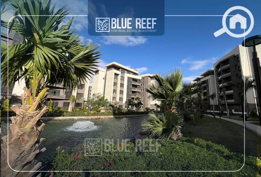 6 Bluereef  - Templete. psdsdfcv (1)-Recovered-Recovered-Recovered-Recovered-Recovered-Recovered-Recovered-Recovered-RecovereUULUd-Recovered-Recovered-Recovered-Recovered. jpg