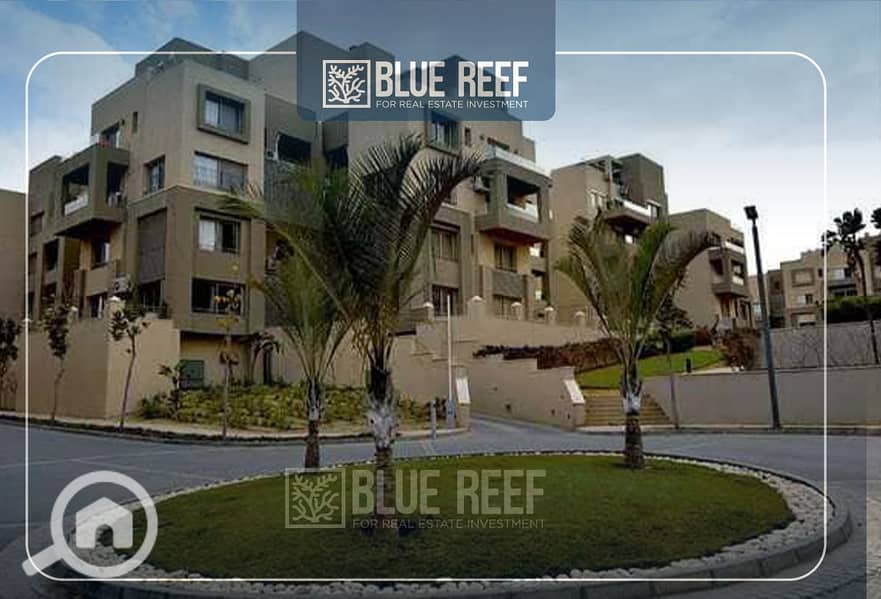 7 Bluereef  - Templete. psdsdfcv (1)-Recovered-Recovered-Recovered-Recovered-Recovered-Recovered-Recovered-Recovered-ثسبقصثقصثفRecovered-Recovered-Recovered-Recovered. jpg