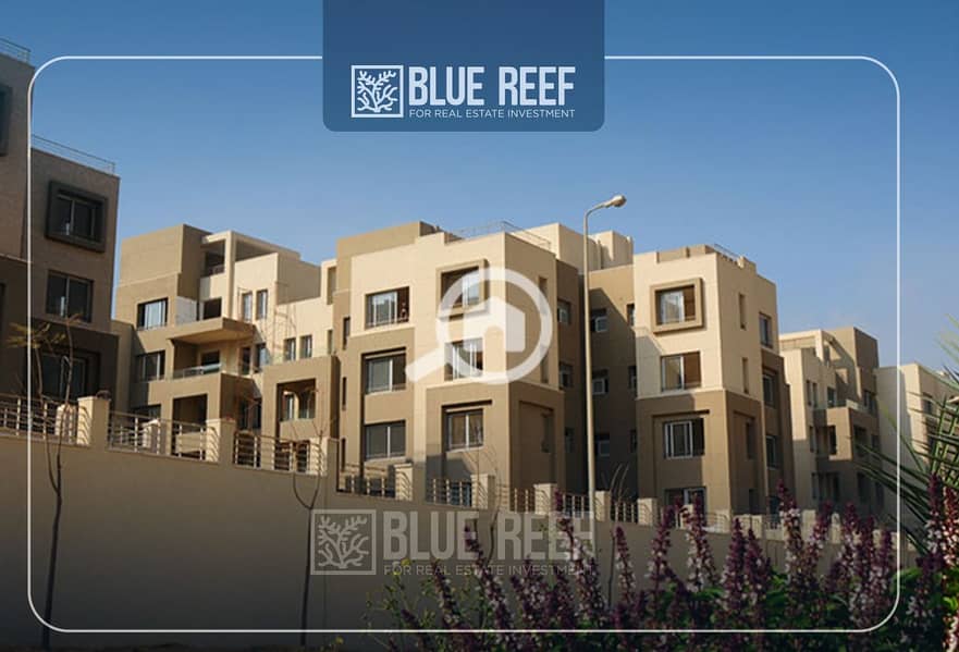 8 فغقفغقغ. jpg