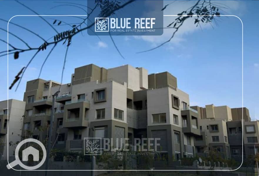 9 لللللقلفث. jpg