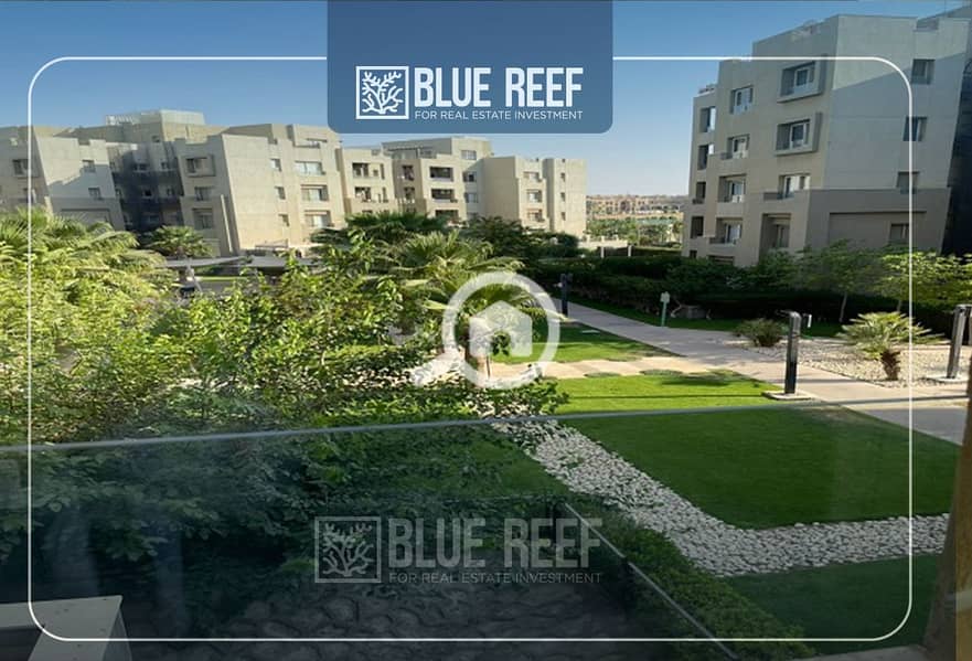 10 Bluereef  - Templete. psdsdfcv (1)-Recovered-Recovered-Recovered-Recovered-Recovered-Recovered-Recovered-Recovered-DSFDSGRecovered-Recovered-Recovered-Recovered-Recovered. jpg