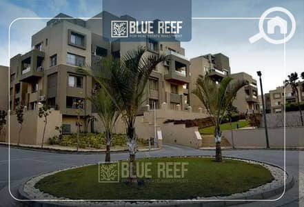 شقة 2 غرفة نوم للايجار في القاهرة الجديدة، القاهرة - Bluereef  - Templete. psdsdfcv (1)-Recovered-Recovered-Recovered-Recovered-Recovered-Recovered-Recovered-Recovered-ثسبقصثقصثفRecovered-Recovered-Recovered-Recovered. jpg