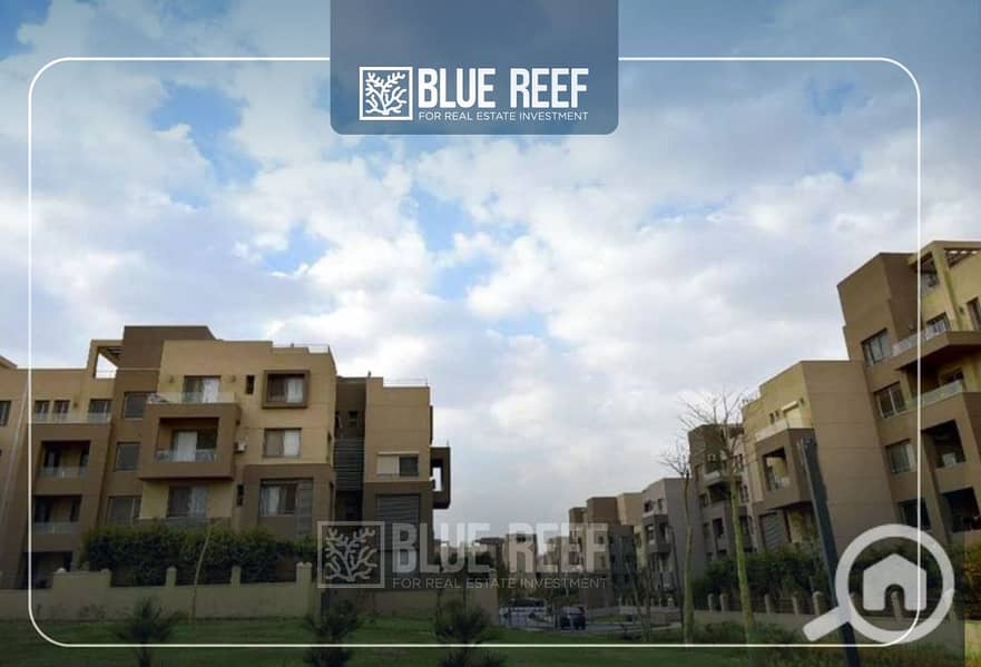 8 Bluereef  - Templete. psdsdfcv (1)-Recovered-Recovered-Recovered-Recovered-Recovered-Recovered-Recovered-Recovered-Recovered-لللRecovered-Recovered-Recovered-Recovered. jpg