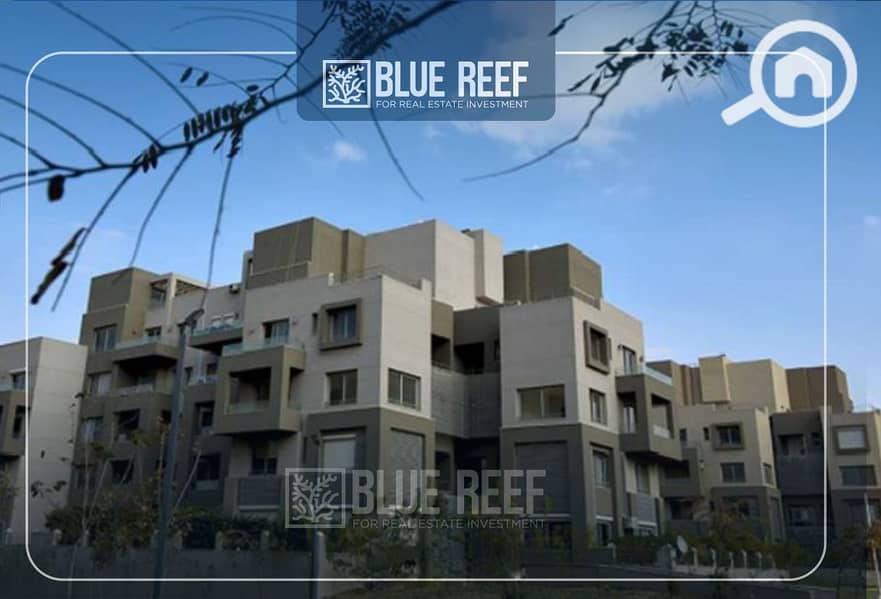 11 لللللقلفث. jpg