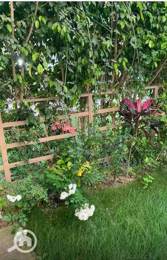 IMG-20251228-WA0087. jpg IMG-20251228-WA0087. jpg