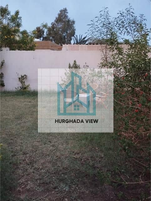 8 WhatsApp Image 2025-07-06 at 23.03. 07_80c147b9. jpg