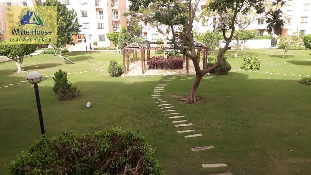 4 1ea8c080-3dac-4f79-9476-638705037d84. jpg