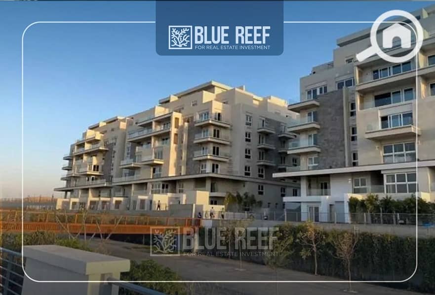 5 WhatsApp Image 2025-12-14 at 4.16. 35 PM. jpeg