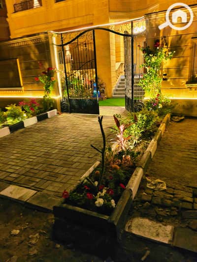 استوديو  للايجار في القاهرة الجديدة، القاهرة - 1000047015. jpg