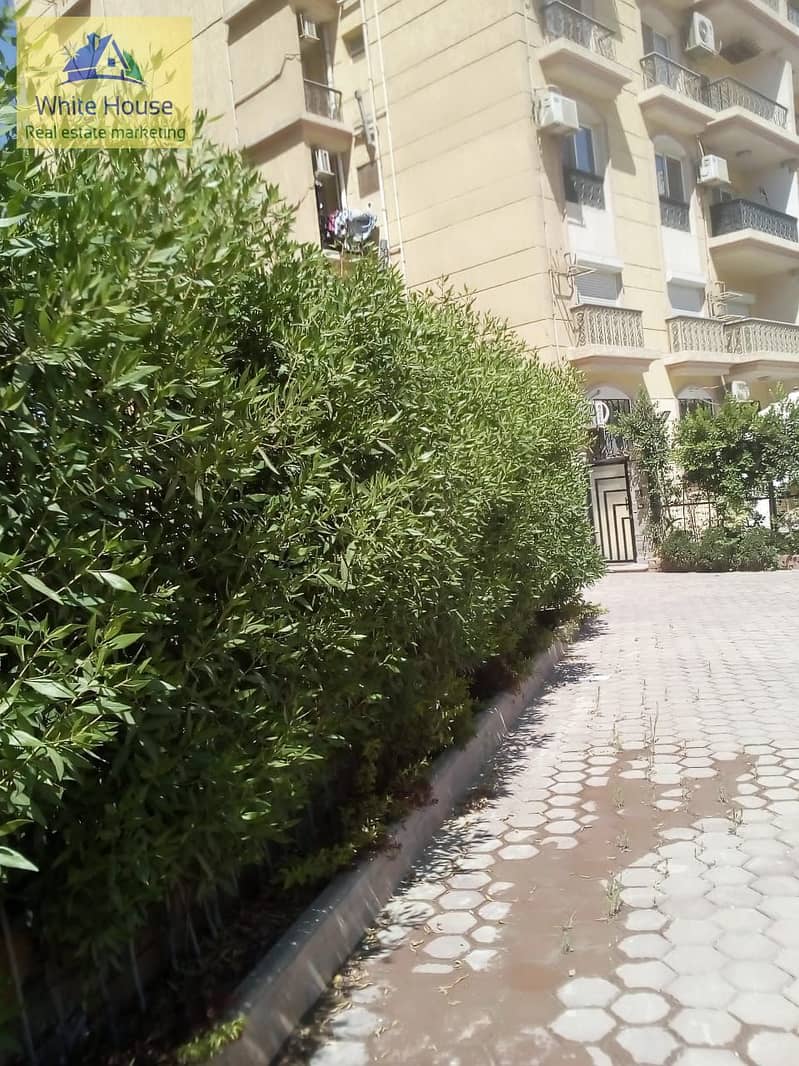 32 WhatsApp Image 2025-12-25 at 3.41. 38 PM (1). jpeg