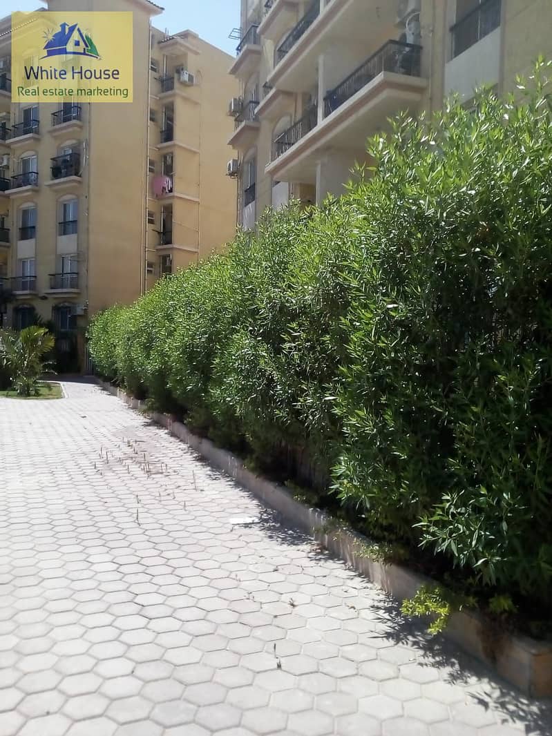 34 WhatsApp Image 2025-12-25 at 3.41. 38 PM (3). jpeg