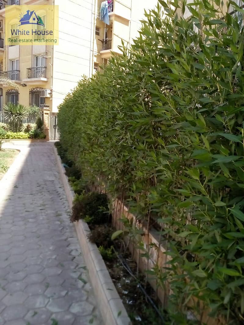 35 WhatsApp Image 2025-12-25 at 3.41. 38 PM. jpeg