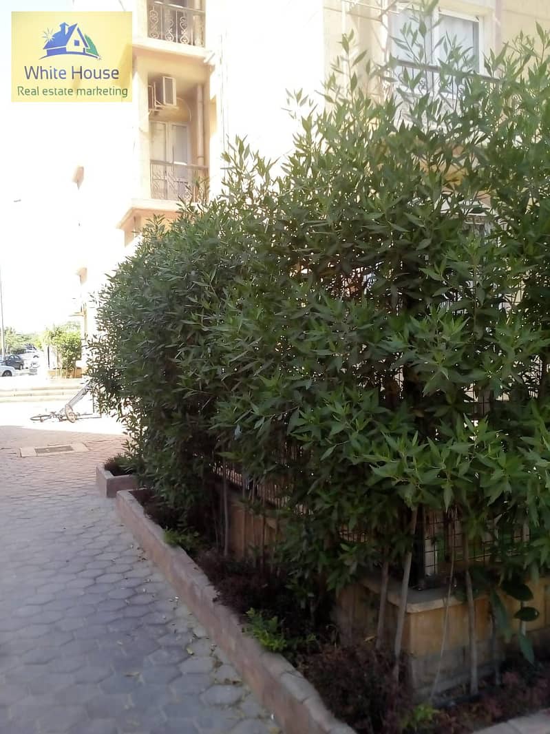 38 WhatsApp Image 2025-12-25 at 3.41. 40 PM (1). jpeg