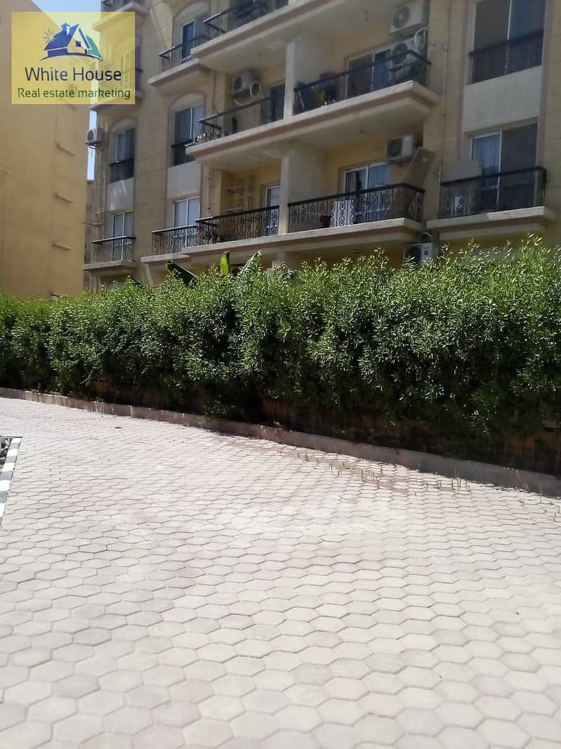 41 WhatsApp Image 2025-12-25 at 3.41. 40 PM. jpeg