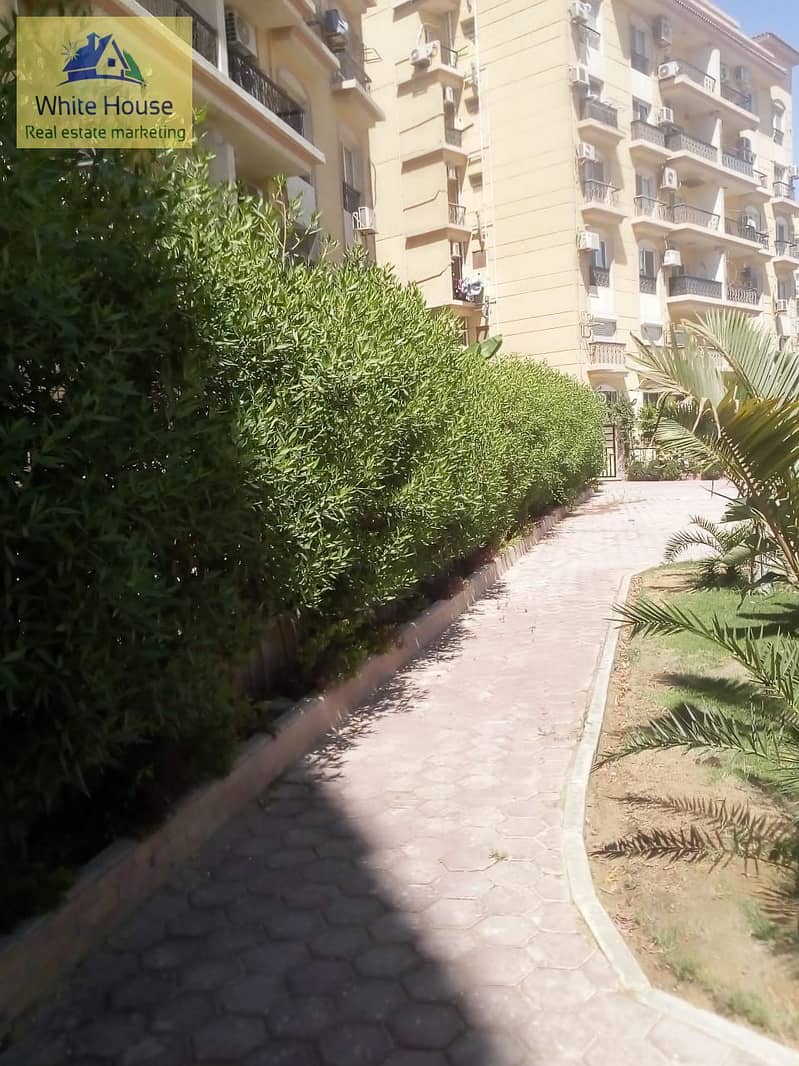 42 WhatsApp Image 2025-12-25 at 3.41. 41 PM (1). jpeg