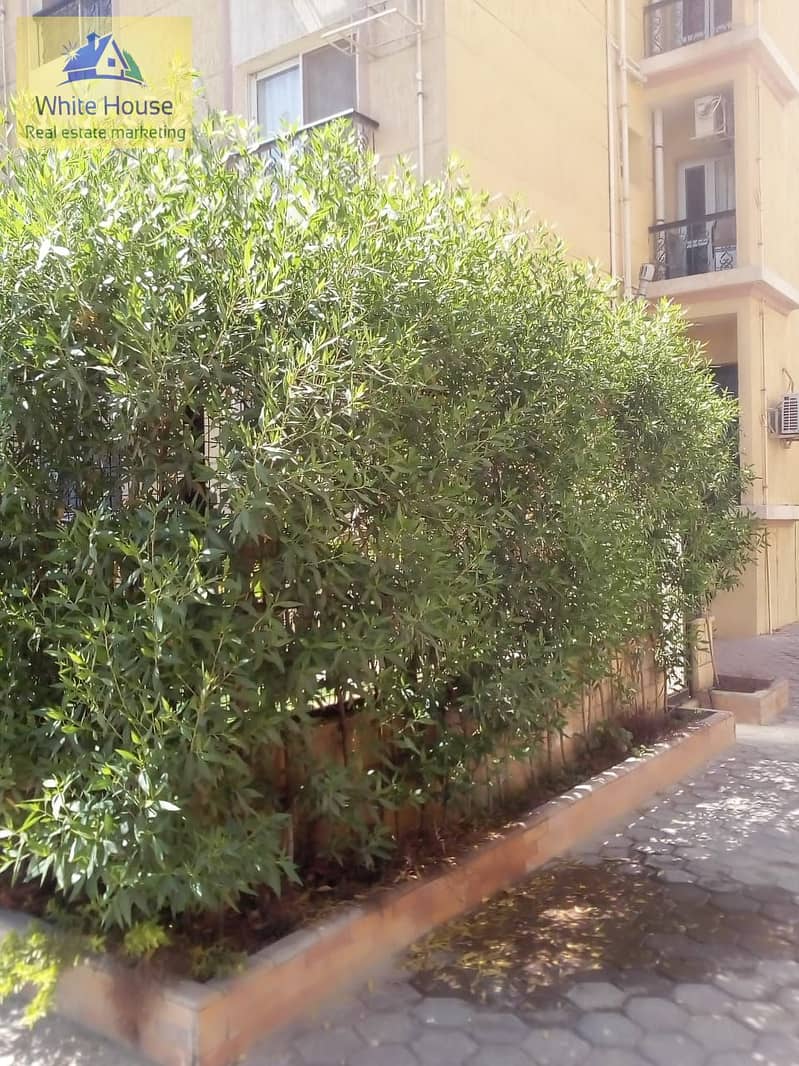 51 WhatsApp Image 2025-12-25 at 3.41. 43 PM (3). jpeg