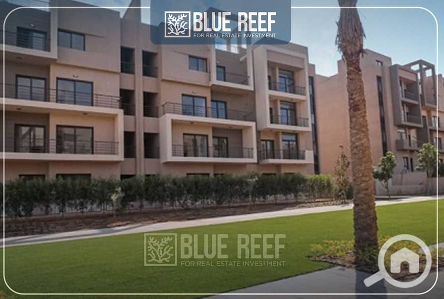 6 WhatsApp Image 2024-10-20 at 7.08. 23 PM (3). jpeg