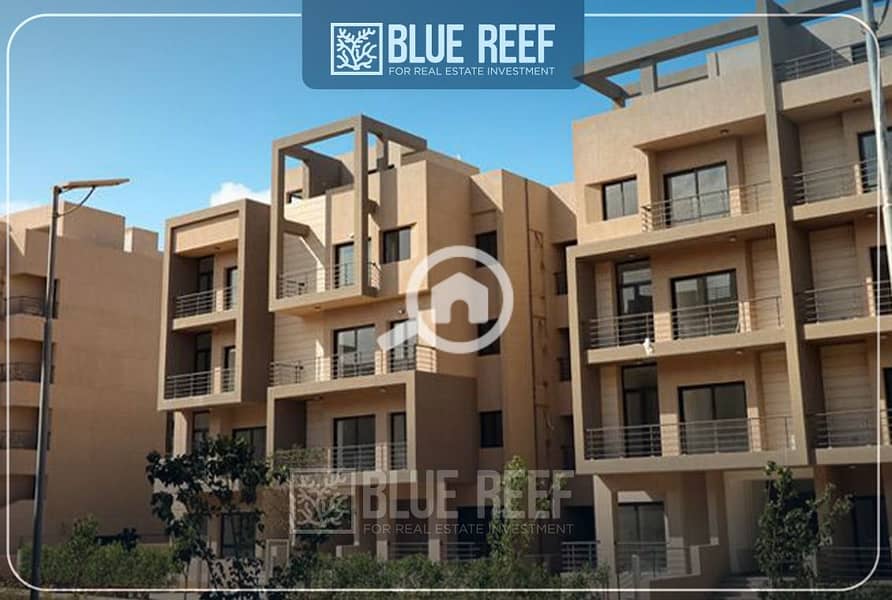 7 WhatsApp Image 2024-10-20 at 7.08. 23 PM. jpeg