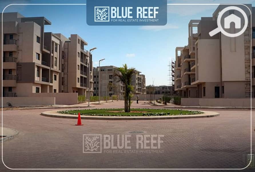 8 WhatsApp Image 2024-10-20 at 7.08. 24 PM (1). jpeg