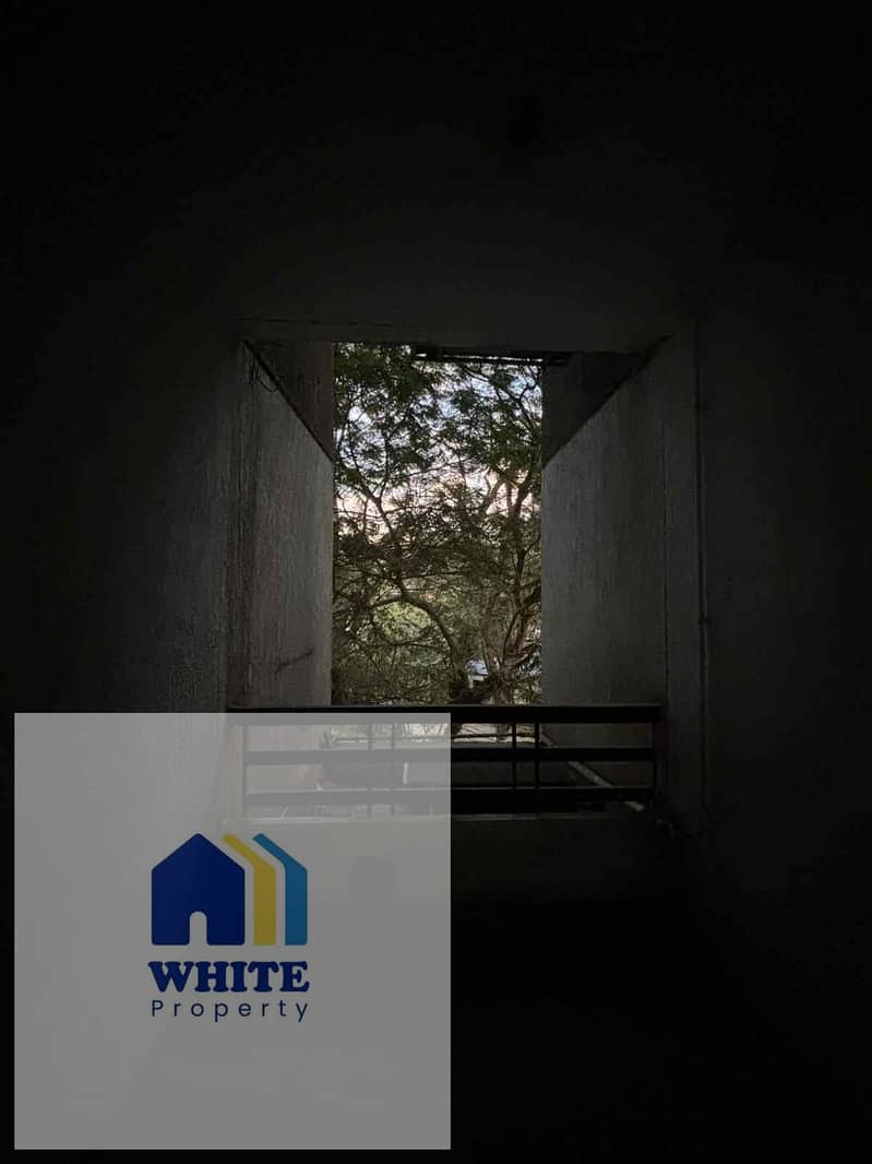 6 3a633581-a2d9-4bb8-8515-883d81c74ca3. jpg