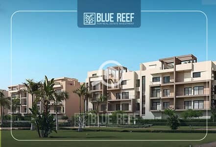 فلیٹ 3 غرف نوم للايجار في القاهرة الجديدة، القاهرة - n. jpg