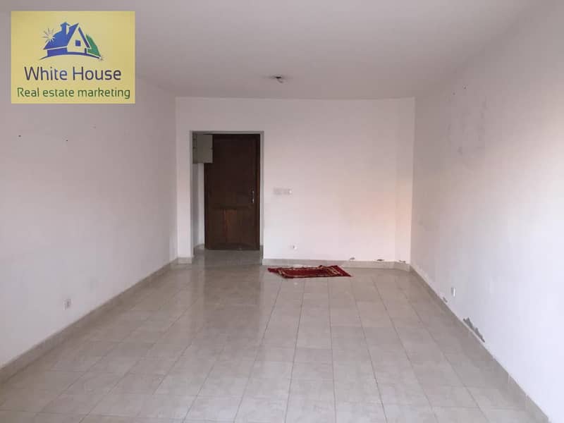 2 163804610_4131159526915772_4589094954266106494_n. jpg