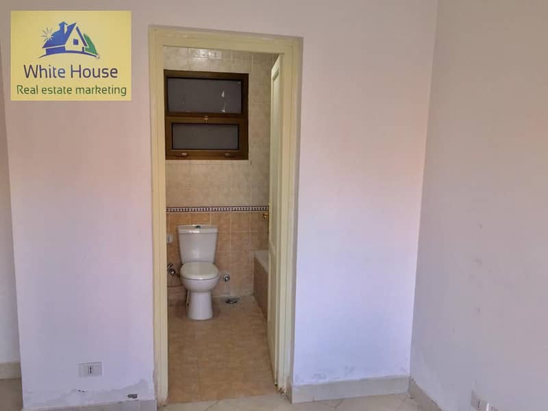 5 164302746_4131159183582473_6140573726084634424_n. jpg