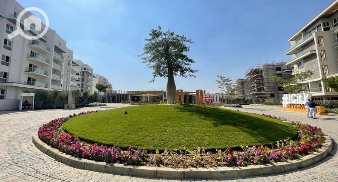 10 IMG_7092 (1). jpg