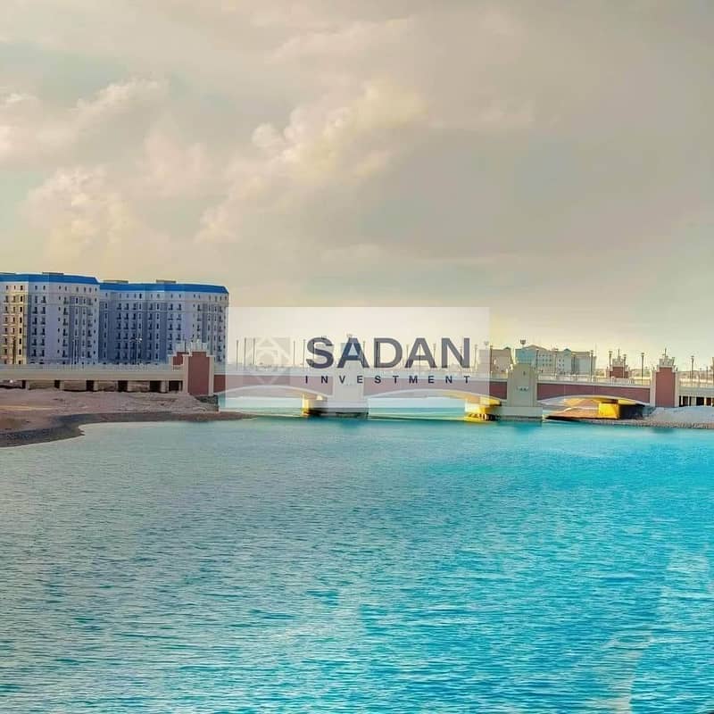 7 481614083_1019809200011907_2033039188569983551_n. jpg