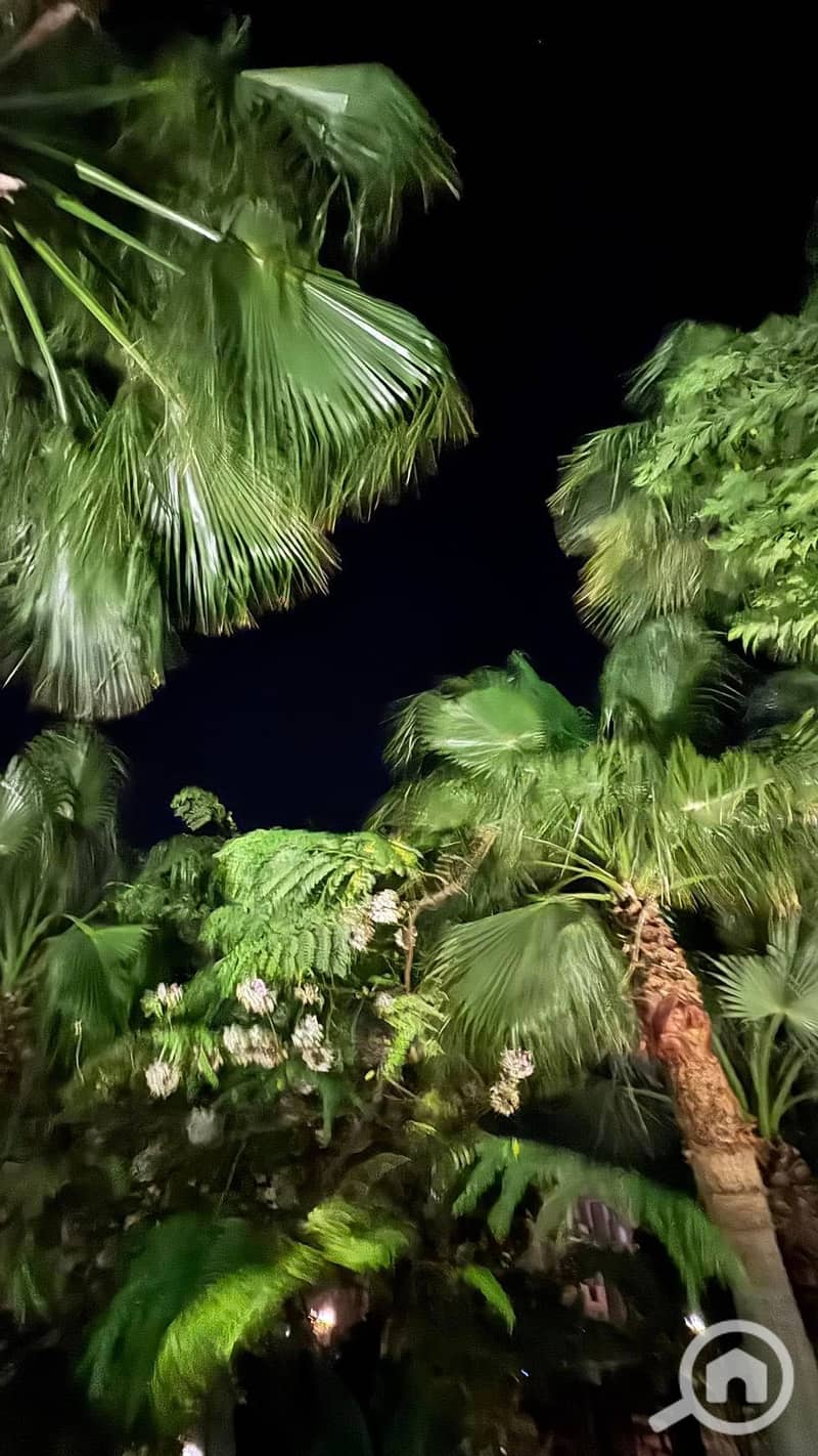 8 534975249_23924828757218463_7994881465319234836_n. jpg